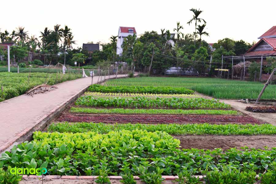 Tour Nghệ An Đi Đà Nẵng