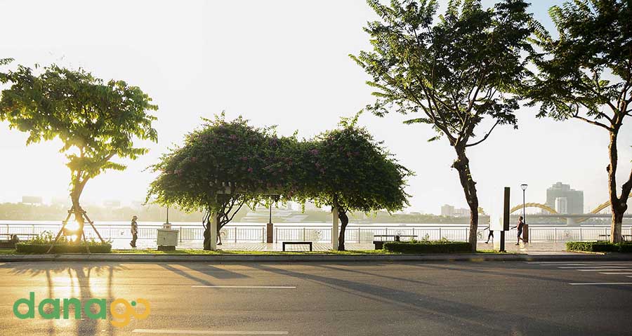 Tour Đà Lạt- Huế- Đà Nẵng- Hội An