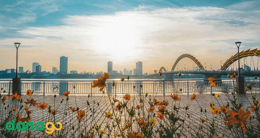 Tour Phú Thọ Đi Đà Nẵng Tour Phú Thọ Đi Đà Nẵng
